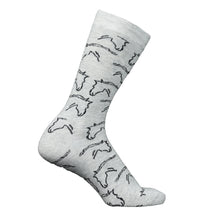 Load image into Gallery viewer, AWST Int'l Ladies Horse Heads Crew Socks - 6 pack