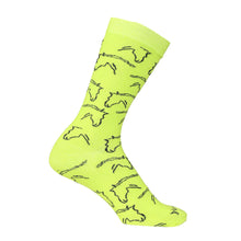 Load image into Gallery viewer, AWST Int'l Ladies Horse Heads Crew Socks - 6 pack