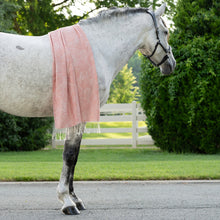 Load image into Gallery viewer, AWST Int'l Lila Linear Horses Pashmina Scarf