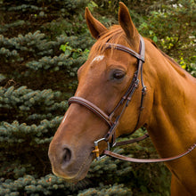 Load image into Gallery viewer, Henri de Rivel Pro Mono Crown Fancy Stitched Padded Bridle