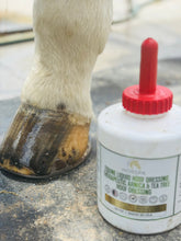 Load image into Gallery viewer, Equine Liquid Hoof Dressing Arnica & Tea Tree 32 oz