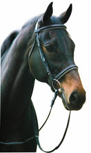 Load image into Gallery viewer, Henri de Rivel Pro Padded Dressage Bridle with Web Reins