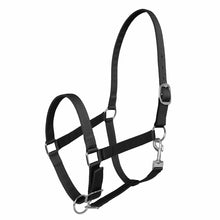 Load image into Gallery viewer, Miller's Adjustable Nylon Halter with Snap and Breakaway Leather