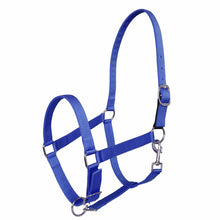 Load image into Gallery viewer, Miller's Adjustable Nylon Halter with Snap and Breakaway Leather