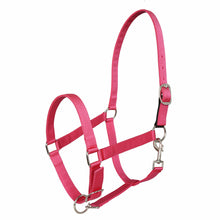 Load image into Gallery viewer, Miller's Adjustable Nylon Halter with Snap and Breakaway Leather