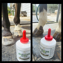 Load image into Gallery viewer, Equine Liquid Hoof Dressing Arnica & Tea Tree 32 oz