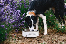Load image into Gallery viewer, Barn Dog Bowl