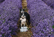 Load image into Gallery viewer, Barn Dog Shampoo