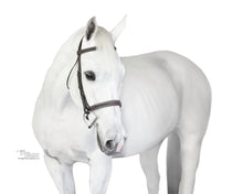 Load image into Gallery viewer, Sugarbrook Bridle Wide Noseband