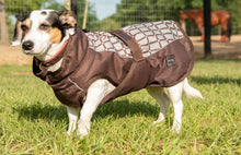 Load image into Gallery viewer, DS26 All Weather Dog Coat