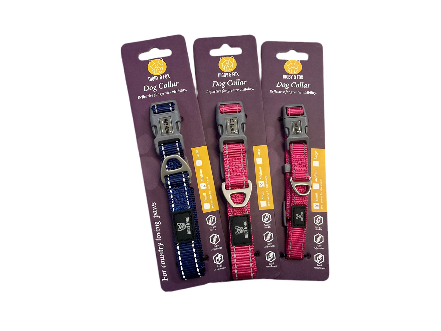 348 Digby & Fox Dog Collars