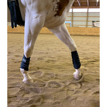 Load image into Gallery viewer, Sport Boot (Dressage)