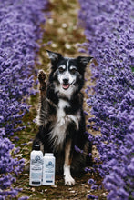 Load image into Gallery viewer, Barn Dog Dry Shampoo