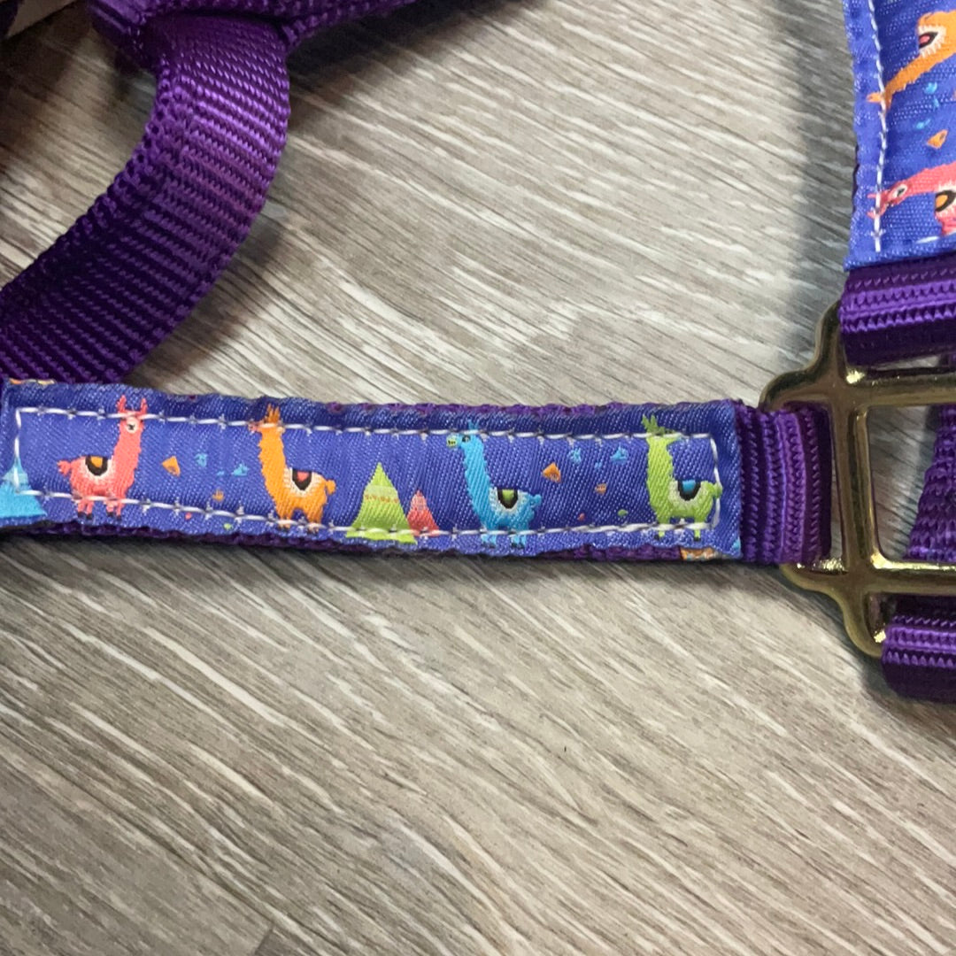 Pony Purple Llama Ribbon Safety