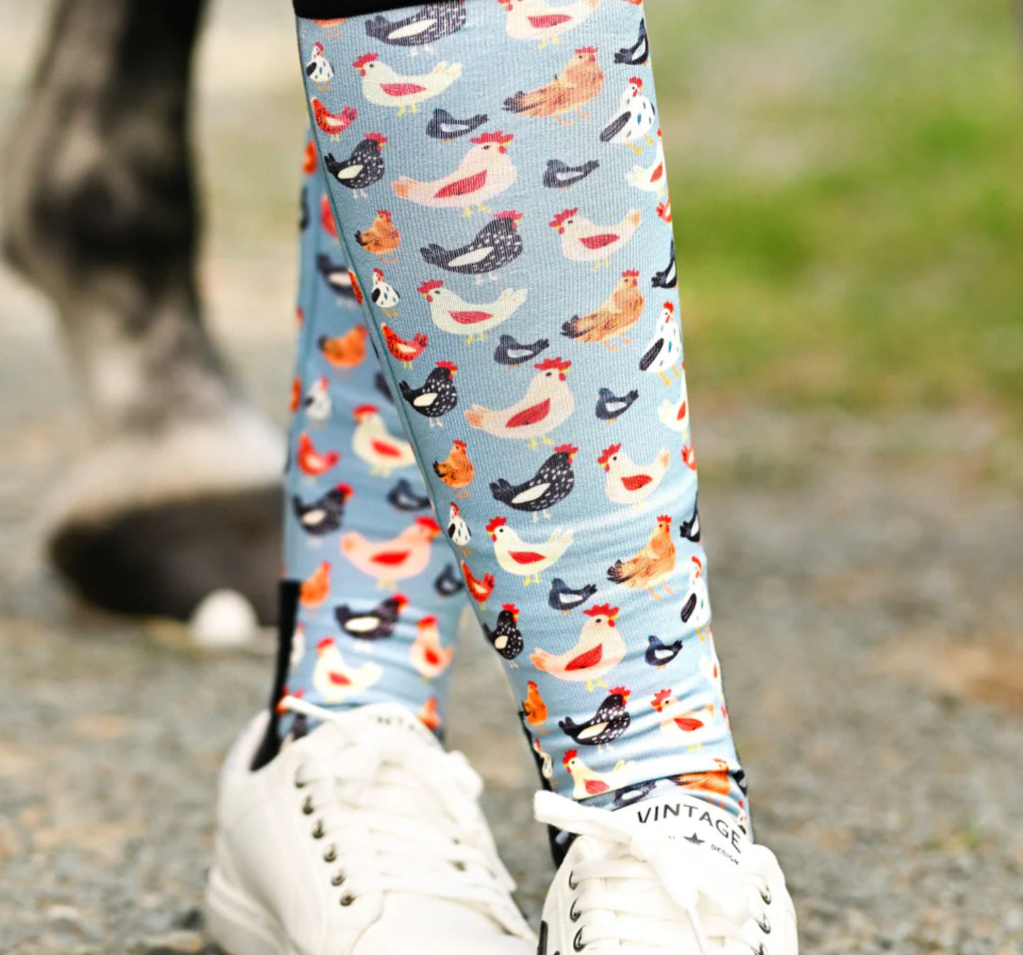 Dreamers&Schemers Socks “Hen House”