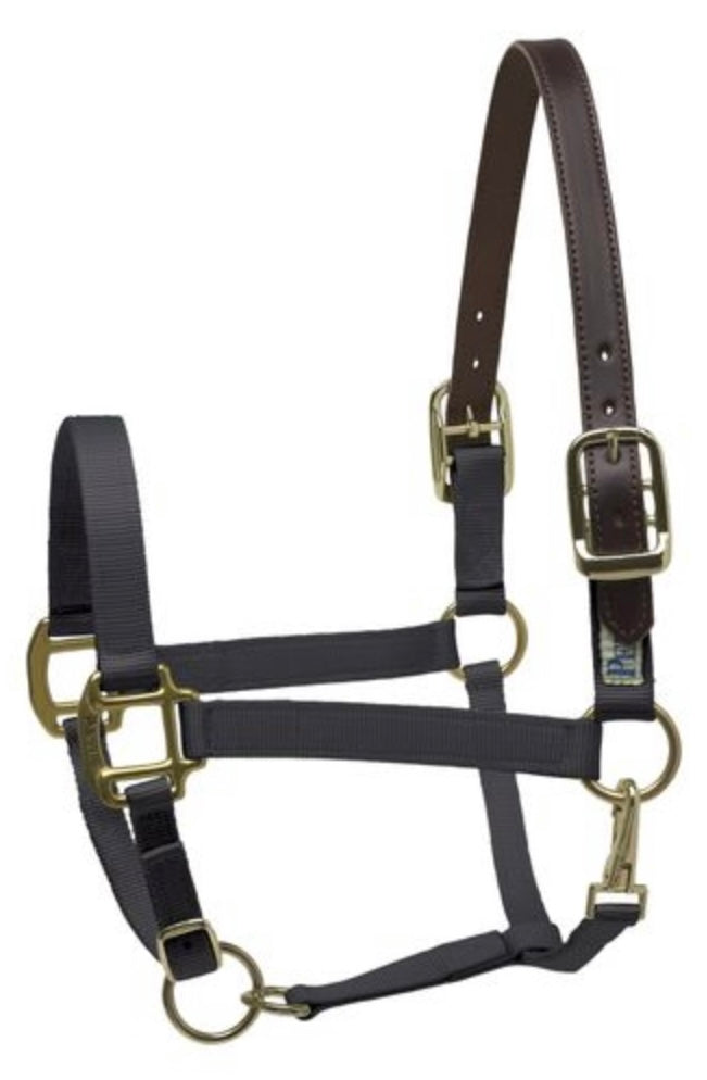 Perri’s Safety Halter