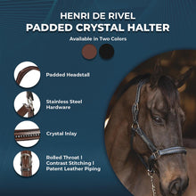 Load image into Gallery viewer, Henri de Rivel Padded Crystal Halter