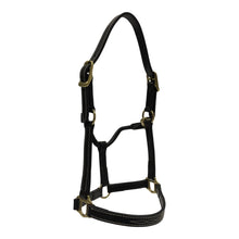 Load image into Gallery viewer, Huntley Equestrian Fancy Stitched Adjustable Premium Leather Pony Halter with Brass Hardware
