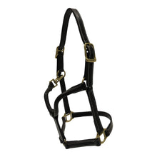 Load image into Gallery viewer, Huntley Equestrian Fancy Stitched Adjustable Premium Leather Pony Halter with Brass Hardware