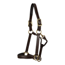Load image into Gallery viewer, Huntley Equestrian Fancy Stitched Premium Leather Padded Halter