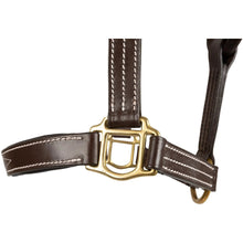 Load image into Gallery viewer, Huntley Equestrian Fancy Stitched Premium Leather Padded Halter