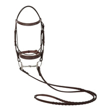 Load image into Gallery viewer, Huntley Equestrian Fancy Stitched Sedgwick Leather Padded Bridle with Reins
