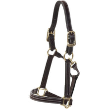 Load image into Gallery viewer, Huntley Equestrian Premium Leather Triple Stitched Halter with Snap