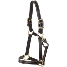 Load image into Gallery viewer, Huntley Equestrian Premium Leather Triple Stitched Halter with Snap