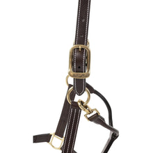 Load image into Gallery viewer, Huntley Equestrian Premium Leather Triple Stitched Halter with Snap