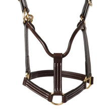 Load image into Gallery viewer, Huntley Equestrian Premium Leather Triple Stitched Halter with Snap