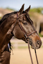 Load image into Gallery viewer, Huntley Equestrian Sedgwick Fancy Stitched Bridle with Cheek Clips and Reins