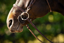 Load image into Gallery viewer, Huntley Equestrian Sedgwick Fancy Stitched Bridle with Cheek Clips and Reins