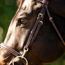 Load image into Gallery viewer, Huntley Equestrian Sedgwick Fancy Stitched Bridle with Cheek Clips and Reins