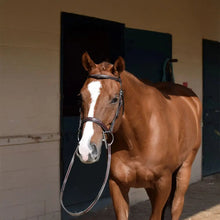 Load image into Gallery viewer, Huntley Equestrian Sedgwick Fancy Stitched Square Raised Hunter Horse Bridle with Reins