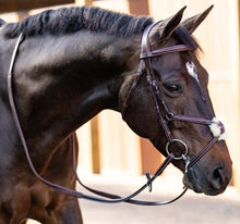 Load image into Gallery viewer, Huntley Equestrian Sedgwick Leather Padded Monocrown Figure 8 Bridle