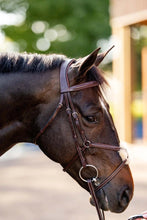 Load image into Gallery viewer, Huntley Equestrian Sedgwick Leather Padded Monocrown Figure 8 Bridle