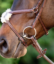 Load image into Gallery viewer, Huntley Equestrian Sedgwick Leather Padded Monocrown Figure 8 Bridle