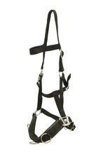 Load image into Gallery viewer, Huntley Nylon Padded Lunging Caveson, Black