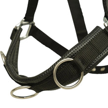 Load image into Gallery viewer, Huntley Nylon Padded Lunging Caveson, Black