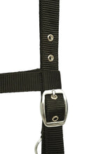 Load image into Gallery viewer, Huntley Nylon Padded Lunging Caveson, Black