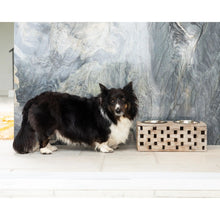 Load image into Gallery viewer, Huntley Pet Elevated Dog and Cat Double Bowl Feeder