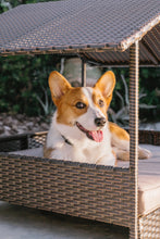 Load image into Gallery viewer, Huntley Pet Rattan Wicker Indoor Outdoor Cabana Raised Pet Bed