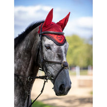 Load image into Gallery viewer, LeMieux Classic Fly Hood