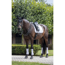 Load image into Gallery viewer, LeMieux Loire Classic Satin Dressage Square Saddle Pad