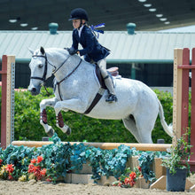 Load image into Gallery viewer, Leather Equitation Tendon Boot with Impact Protective Removable Liners (Buckle Closures)