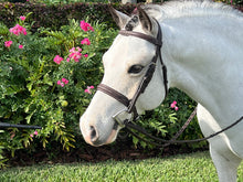 Load image into Gallery viewer, Sugarbrook Bridle Wide Noseband