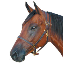 Load image into Gallery viewer, 3/4" Pony Deluxe Track Halter with Solid Brass Hardware