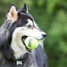 Load image into Gallery viewer, DS26 Air KONG Squeaker Tennis Balls for Dogs