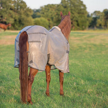 Load image into Gallery viewer, DS26 Cashel Economy Standard Neck Fly Sheet for Horses - Lightweight, UV & Insect Protection