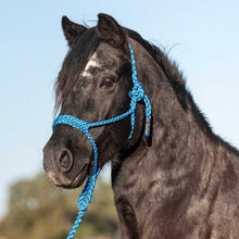 Load image into Gallery viewer, DS26 Cashel Flat Braid Pony Halter